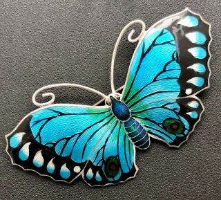 Fabulous Large J.  Atkins & Sons Silver & Enamel Butterfly Brooch 1917 2.  5/8th 