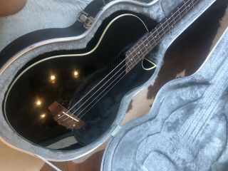 Vintage Washburn Ab - 20 Acoustic / Electric Bass With Case