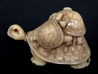 Japanese Ivory Colored Bone Netsuke - Baby Turtles On Mother Turtle