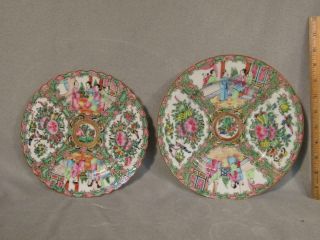 2 Antique Chinese Export Rose Medallion Dinner Plates - 1 Scalloped