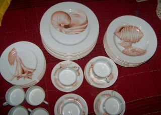 32 Pc Set For 8 Vintage Rare Fitz And Floyd Coquille Dinner/soup/ Salad/cups