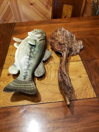 Largemouth Bass Trophy Wood Carving Taxidermy Fish Fishing Lure Casey Edwards 11