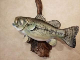 Largemouth Bass Trophy Wood Carving Taxidermy Fish Fishing Lure Casey Edwards 6