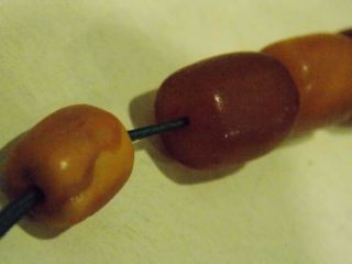 Old Baltic amber beads toffee Butterscotch yolk antique amber stone 波羅的海琥珀 9