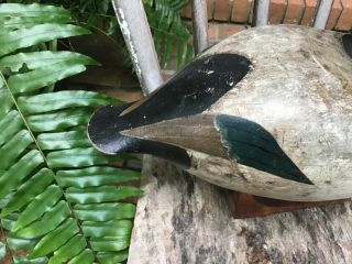 Antique vintage old wooden Joseph Kempinger Wi.  Canvasback duck decoy 5