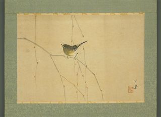 掛軸1967 Japanese Hanging Scroll : Hayashi Bunto " Bush Warbler On Branch " @b563