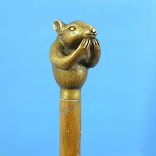 Antique German Bronze Walking Cane 3d Mouse Handle Wooden Body C1920