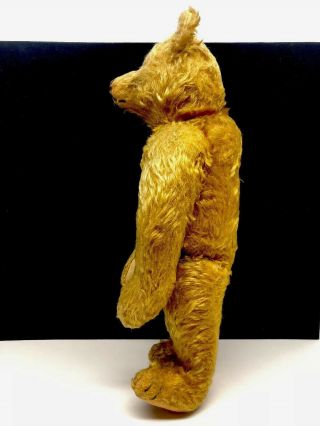 Wonderful Antique Steiff Mohair 16 Inch Teddy Bear 10