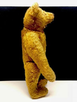 Wonderful Antique Steiff Mohair 16 Inch Teddy Bear 11