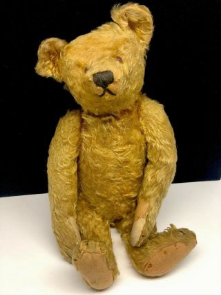 Wonderful Antique Steiff Mohair 16 Inch Teddy Bear