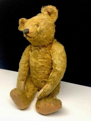 Wonderful Antique Steiff Mohair 16 Inch Teddy Bear 2