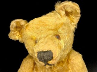 Wonderful Antique Steiff Mohair 16 Inch Teddy Bear 3