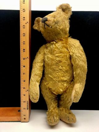 Wonderful Antique Steiff Mohair 16 Inch Teddy Bear 7