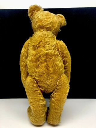 Wonderful Antique Steiff Mohair 16 Inch Teddy Bear 8