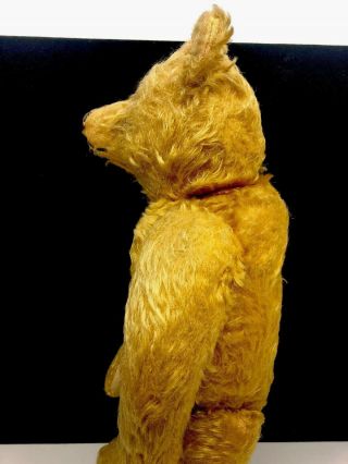 Wonderful Antique Steiff Mohair 16 Inch Teddy Bear 9