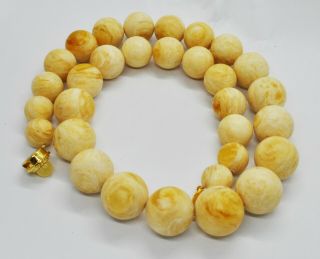 59g Antique Natural White Boney Baltic Amber Butterscotch Egg Yolk Bead Necklace
