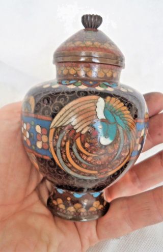 Antique Japanese Meiji C1900 Cloisonne Phoenix Jar / Vase