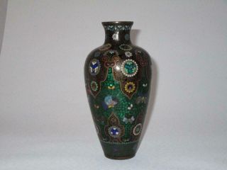 Antique 19thc Japanese Meiji Butterfly Cloisonne Vase