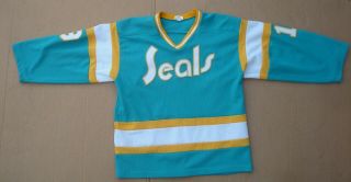 Vintage California Golden Seals Mesh Jersey Size Xl 19 Darby Sportswear Canada