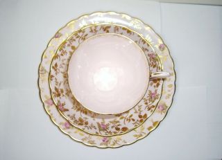 Pink Tuscan Rose Gold 3 Pc Coffee Cup Saucer Dessert Plate Vintage 2