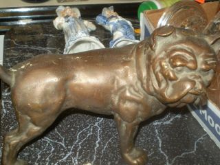 Antique ? Spelter ? Bronze Colored Bull Dog Statue 8x6 Hollow Mack Truck ?