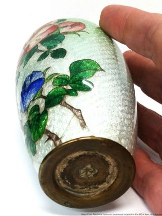 Estate Discovery Signed Chinese Qing Japanese Meiji Cloisonne Foil Cabinet Vase 8