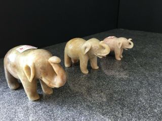 Set of 3 Chinese Carved Stone Elephants 3