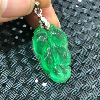 Rare Chinese S925 Silver & Natural Green Ice Jadeite Jade Handwork Leaf Pendant