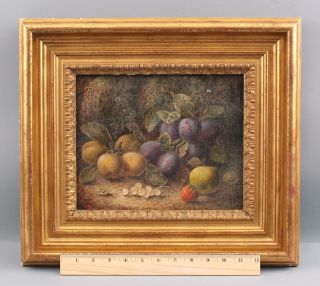 19thc Antique Oliver Clare Plums Pears Strawberry Fruit Still Life Oil Painting