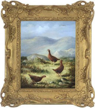 Grouse On A Grassy Plateau Antique Oil Painting By Thomas Hold (1842 - 1902)