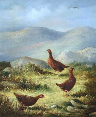 Grouse on a Grassy Plateau Antique Oil Painting by Thomas Hold (1842 - 1902) 2