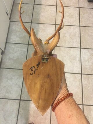 vintage hand carved wood black forest? deer head glass eyes wall mount 4