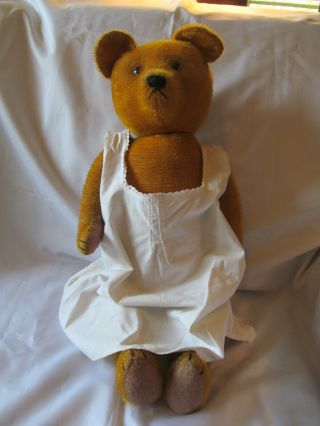 Vintage Teddy Bear,  Probably 1930s - 1940s,  Twenty - Two Inches,  Gold Mohair