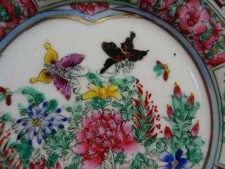 Chinese rose flowers china plate Medallion porcelain hand painted birds butterfl 2