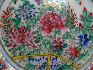 Chinese rose flowers china plate Medallion porcelain hand painted birds butterfl 3