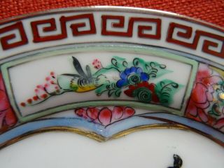 Chinese rose flowers china plate Medallion porcelain hand painted birds butterfl 4