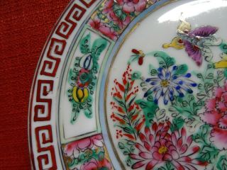 Chinese rose flowers china plate Medallion porcelain hand painted birds butterfl 5