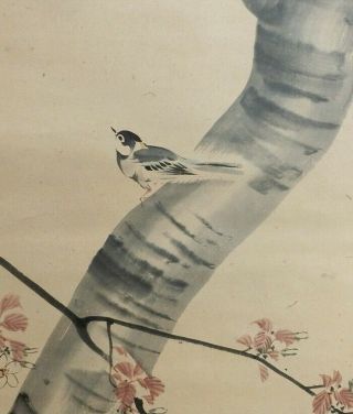 I370: Japanese Hanging Scroll.  Bird On Tree By Famous Keibun Matsumura.