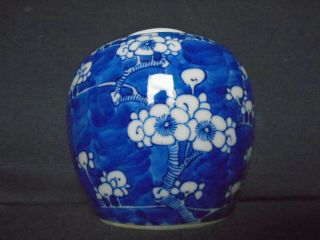 An Antique Chinese Porcelain B&w Ginger Jar,  Late 19th.  Century,  Very Good Cond.