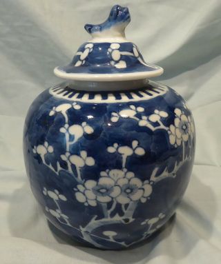 Chinese Porcelain Blue And White Prunus Jar,  Double Ring Mark