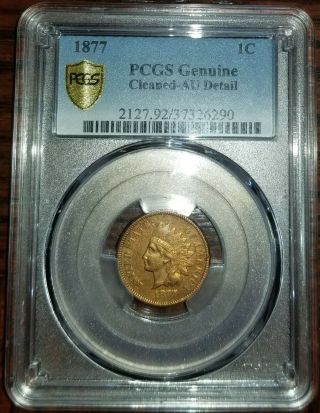 Rare 1877 Indian Head Cent Penny Pcgs Au,  Details Certified