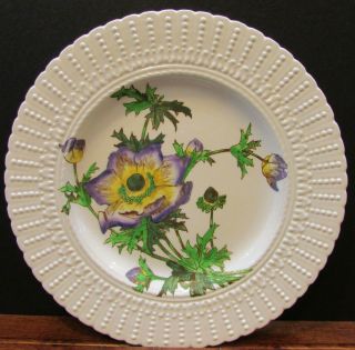 Old Cauldon England Est 1774 England Pottery 9.  5 " Purple Flower Plate S/h
