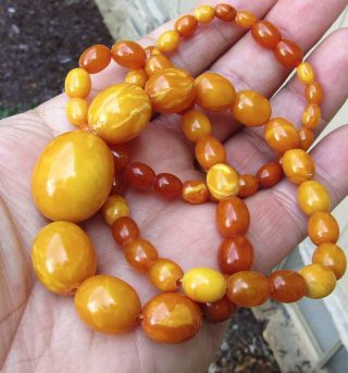 32 Gr.  100 Natural Baltic Amber Bead Necklace,  Butterscotch,  Egg Yolk,  Chinese