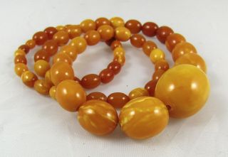 32 gr.  100 NATURAL BALTIC AMBER BEAD NECKLACE,  BUTTERSCOTCH,  EGG YOLK,  CHINESE 6