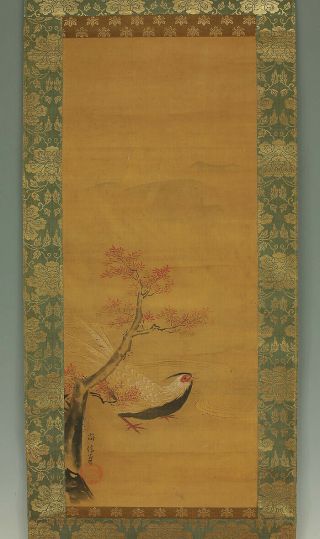 掛軸1967 Japanese Hanging Scroll : Kano Naonobu " Pheasant And Stream " @e297