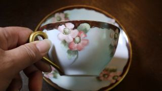 Antique Hand Paintedht Tea Cup Saucer - Pink Cherry Blossom Blue Brown/gold Trim