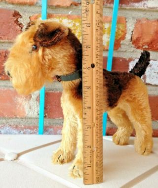 Vintage Steiff Terry - A Well Groomed Mohair Airedale Terrier Dog