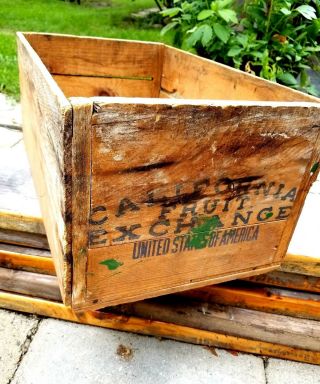 Vintage California Fruit Exchange Wood Produce Crate 20 " X 12 " Box