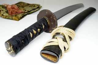 Ad1559 " Sukesada祐定 " : Japanese Wakizashi Sword Samurai Katana Nihonto Antique Art