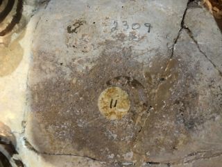 Prehistoric/Precolumbian Anasazi Tularosa Ram Effigy/Seed Olla Circa 1000AD 8